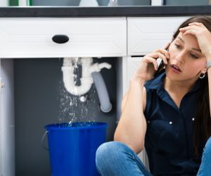 About Sewer Line Replacement Wilsondale, WV